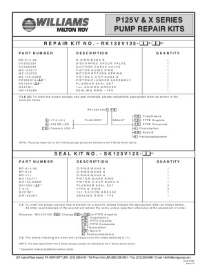 31025-5-2019-p125vx-plrk